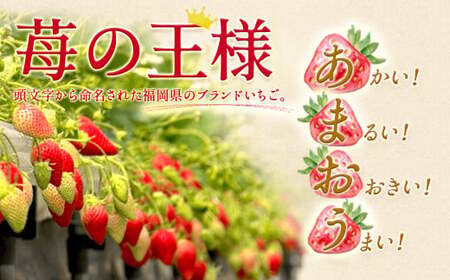 【2回定期便】いちご「あまおう」 約270g×2パック 計約1.08kg 苺 イチゴ 果物 フルーツ 【2027年1月上旬発送順次開始予定】