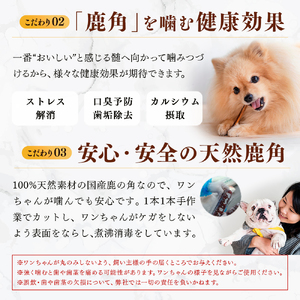 【中型犬用】鹿肉おやつ・鹿角3点セット [オイシクテ](スライスジャーキー20g、リブジャーキー20g、鹿の角ドッグガムMサイズ）無添加（国産鹿を贅沢に熟成)岩手県産鹿肉100% 犬 いぬ おもちゃ 歯磨き 歯みがき デンタルケア 鹿角 おやつ 鹿肉 ジビエ 高たんぱく 低脂質 ヘルシー ダイエット ペットフード ドッグフード
