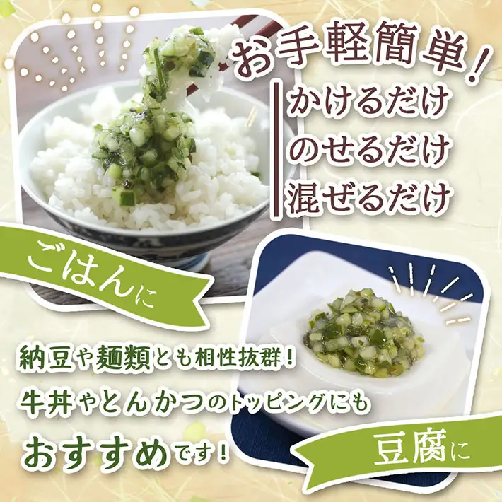【6か月定期便】マルハチ 山形のだし 110g×12パック 漬物 夏野菜 シャキシャキ食感 お手軽 簡単 ご飯のお供 おかず 山形名物 郷土料理 家庭料理 ご当地 定期【8月中旬発送/入金期限：2026年7月25日】