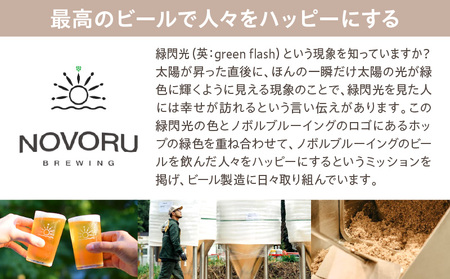 ノボル12缶セット ビール アルコール 飲料 大麦 大麦麦芽 ホップ ローカル ご当地 贈り物 ギフト お歳暮 お中元 缶ビール 缶 さけ 酒 お酒 宮崎ビール ブルワリー ノボルブルーイング クラフトビール 地ビール ノボル 冷蔵便