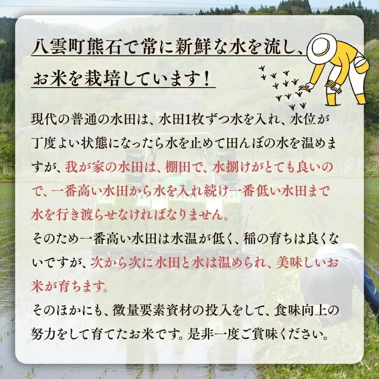 【先行受付】【定期便2ヶ月】農家直送！令和8年産 ゆめぴりか (精白米) 10kg（10kg×1袋） ※2026年10月～発送