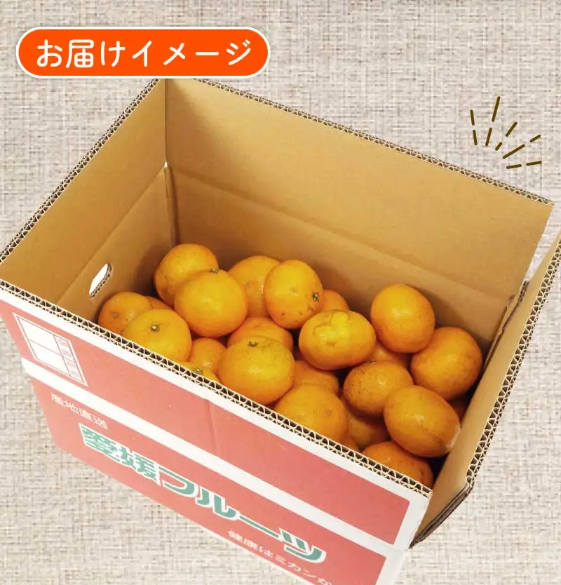 南柑20号 5.5kg ～ 6kg サイズミックス ふるくとファーム  かなこちゃんち 温州みかん 温州みかん B015-037009