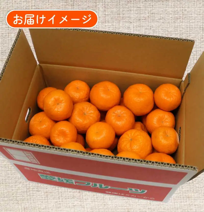 ポンカン 約5.5kg ～ 6kg ふるくとファーム かなこちゃん 先行予約 ポンカン B015-037010