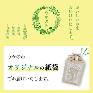 自然栽培米 あきまさり 5kg 玄米 うかのわ 【UKW002_G】