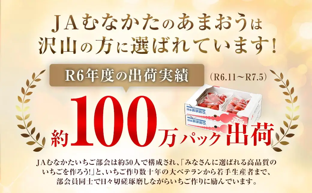 【3回定期便】博多 あまおう 2パック【2027年2月上旬～2027年4月下旬発送予定】