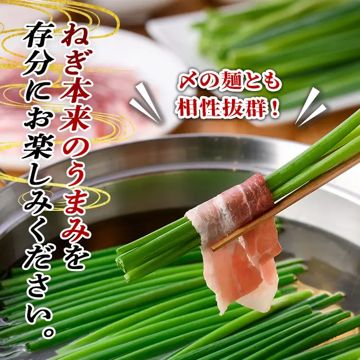 鉄板バル葱屋の ねぎしゃぶセット(3～4人前)ねぎしゃぶ しゃぶしゃぶ 豚肉 ぶた肉 ぶたにく お肉 鍋セット 乾麺 出汁 だし ポン酢 勝負めし【110700801】【葱屋おおくぼ】