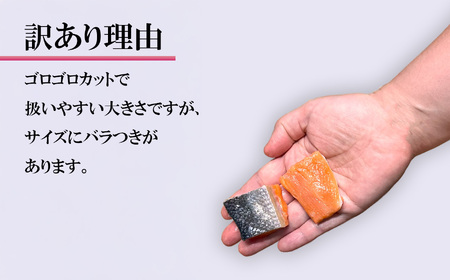 訳あり 銀鮭 無添加 ゴロ銀 1.5kg