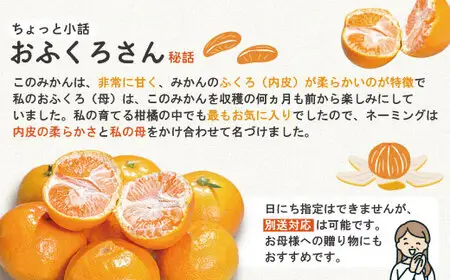 【早期受付・数量限定】農家直送！四万十みかん《おふくろさん》3kg 家庭用 予約 早期受付 数量限定 家庭用 旬 温州 温州みかん みかん 蜜柑 ミカン フルーツ 果物 くだもの 四万十市 四万十 しまんと【2026年11月中旬より順次配送】39210-160-0007