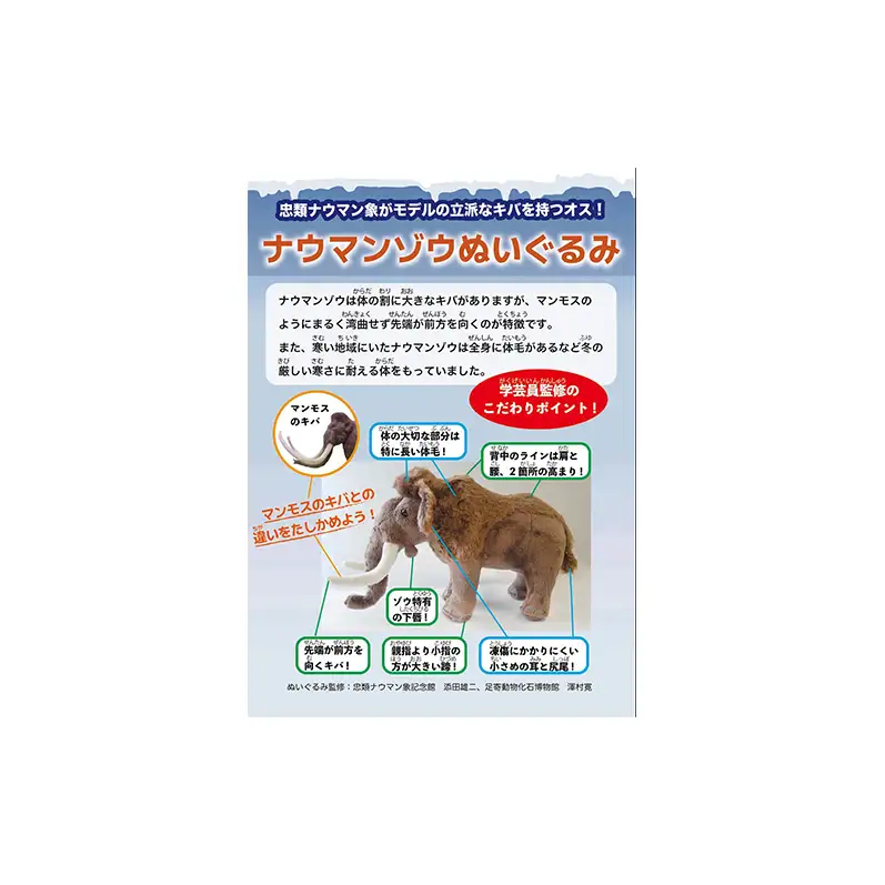 [北海道 幕別町]学芸員監修＆子どもたちと作った！忠類ナウマンゾウぬいぐるみ1体 トレカ付き（小中学生制作のオリジナル学びの下げ札付き）【 ぬいぐるみ おもちゃ ふわふわ もこもこ ゆるキャラ トレカ 北海道 幕別 】