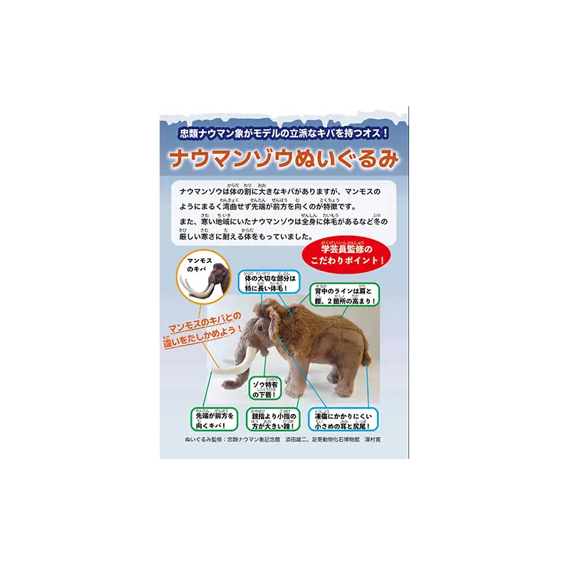 [北海道 幕別町]学芸員監修＆子どもたちと作った！忠類ナウマンゾウぬいぐるみ2体 トレカ付き（小中学生制作のオリジナル学びの下げ札付き）【 ぬいぐるみ おもちゃ ふわふわ もこもこ ゆるキャラ トレカ 北海道 幕別 】