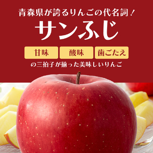 りんごサンふじ訳あり家庭用 青森県産 りんご【約5kg】【11-12月発送】