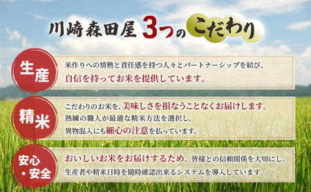 米 ゆめぴりか 精米 白米 令和7年産 3回 5kg 特A
