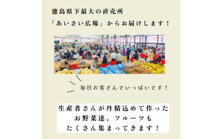 旬のエシカル野菜セット