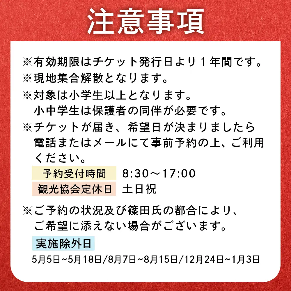 世界チャンピオンから教わるバルーンアート体験チケット(１組分)【3202601】