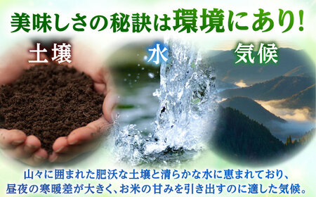 【定期便2回】【令和7年産】 福井県産こしひかり 精米 5kg 小浜市 / シマダ農園 [BFAV009]
