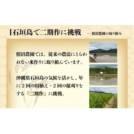 【石垣島産】日本最南端の日本一早い新米（清衛門）2kg×2袋 　TN-01