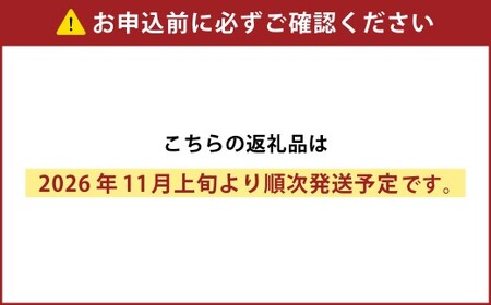 ［先行受付］おとふけ産マンゴー「白銀の太陽プレミアム」4Lサイズ×1玉【D26】《2026年11月上旬より発送開始予定》