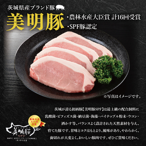 【4か月定期便】A5ランク常陸牛＆美明豚　食べ比べ　定期便コースB（EK-82）