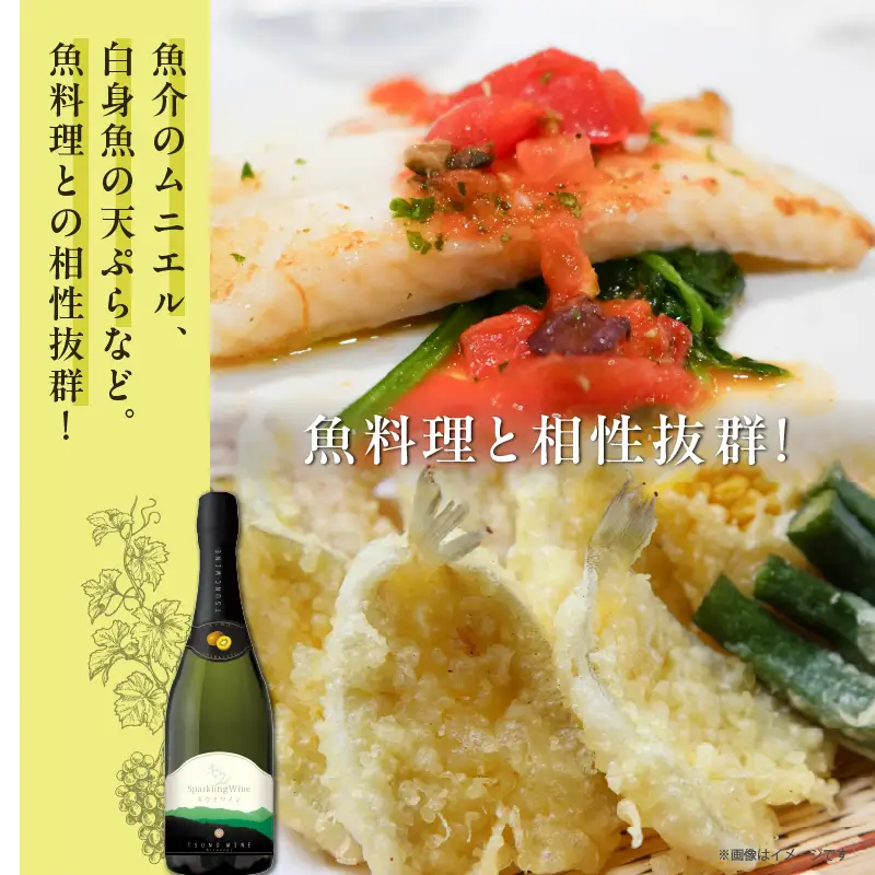 【数量限定】スパークリングワイン キウイ(計1本)酒 飲料 アルコール 国産_T014-0235