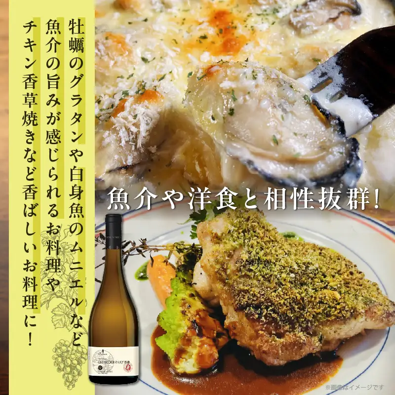 プレステージシャルドネ都農(計1本) 酒 飲料 アルコール 国産_T014-0267