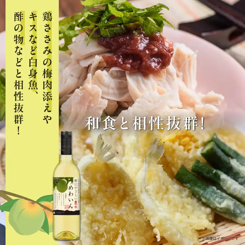 【数量限定】うめわいん(計1本) 酒 飲料 アルコール 国産_T014-0295