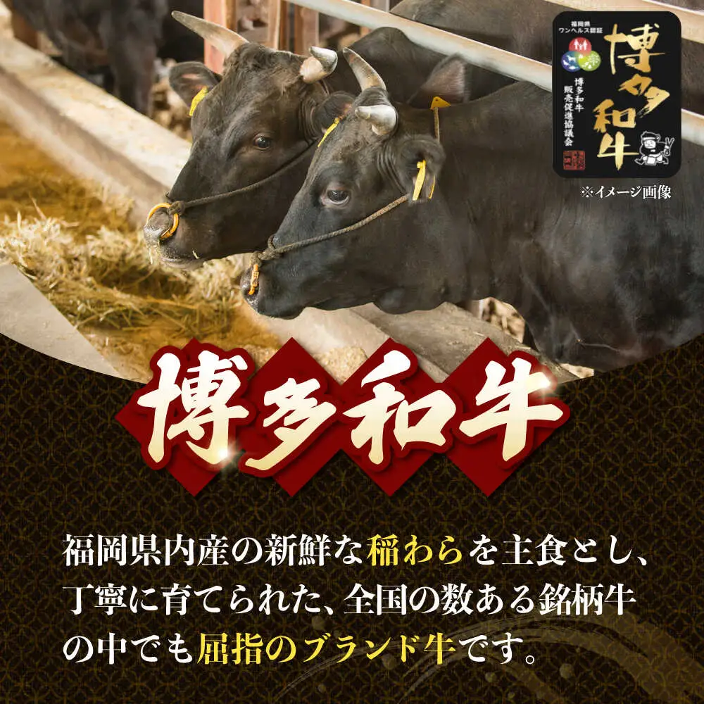 博多和牛 切り落とし 500g [ADCB004] 牛肉切り落とし