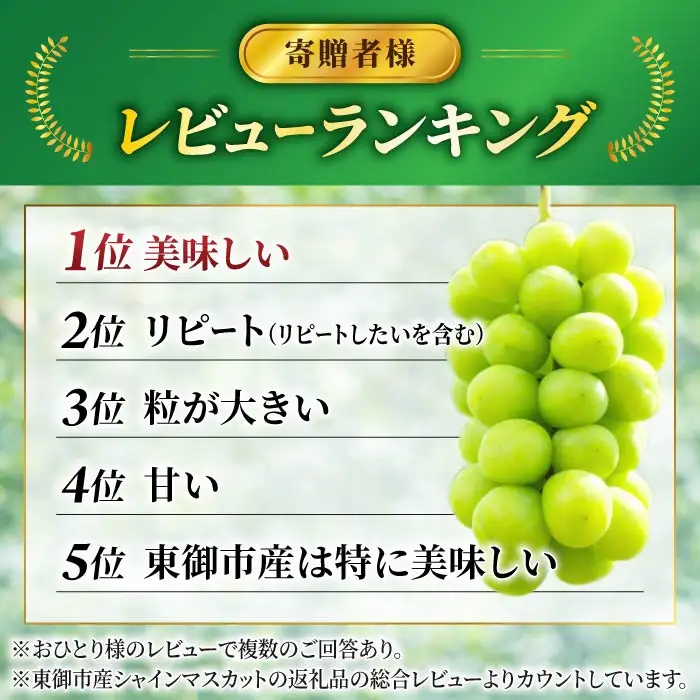 【先行受付2026年発送】東御市産シャインマスカット2房【秋お届け】大粒 高評価 信州