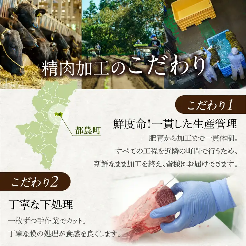 宮崎県産豚ロース肉の西京漬け 計560g 肉 豚 豚肉 おかず 国産_T025-0465