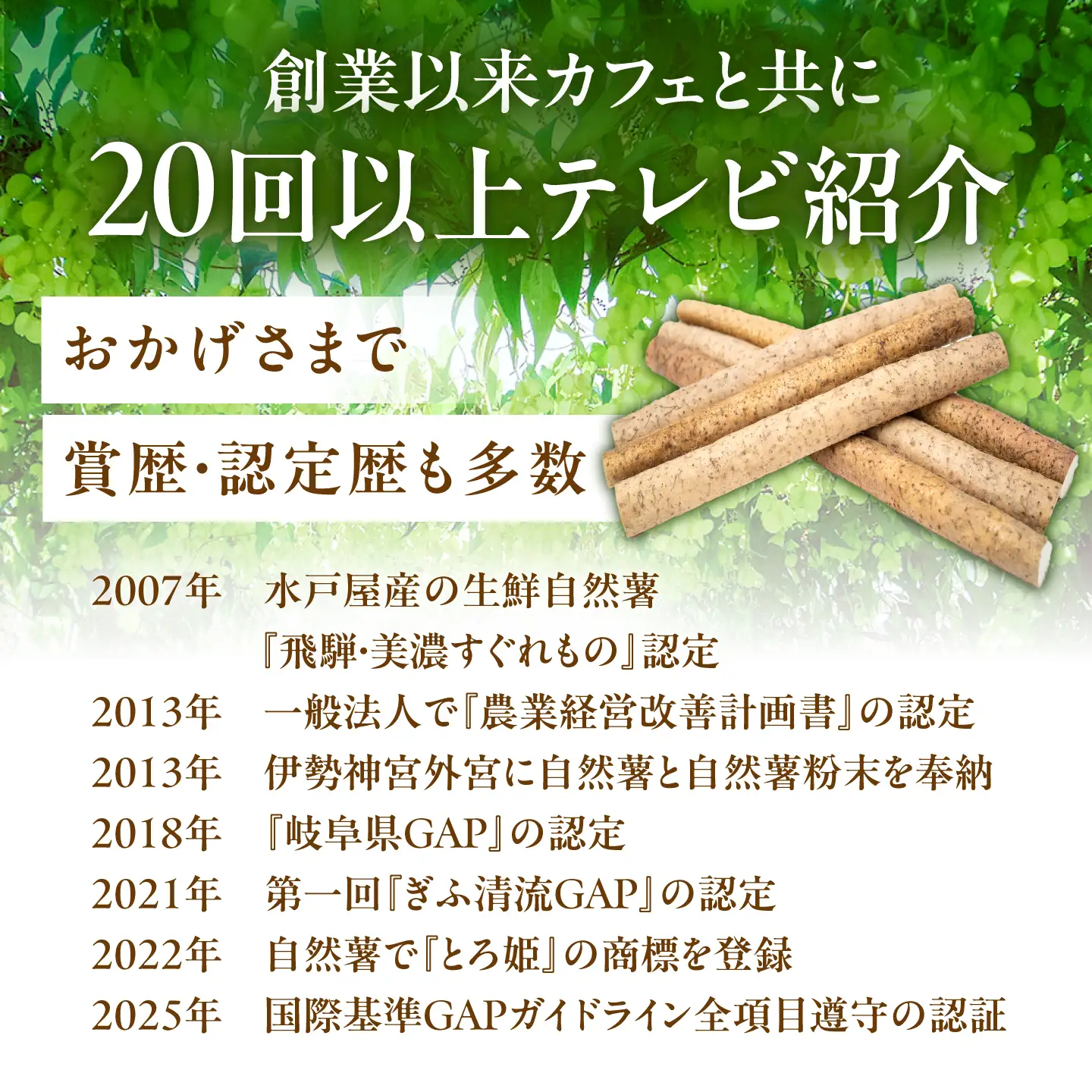 自然薯『ねばり勝ち』 1本入 / 恵那市 / 水戸屋 [AUFZ007] 自然薯