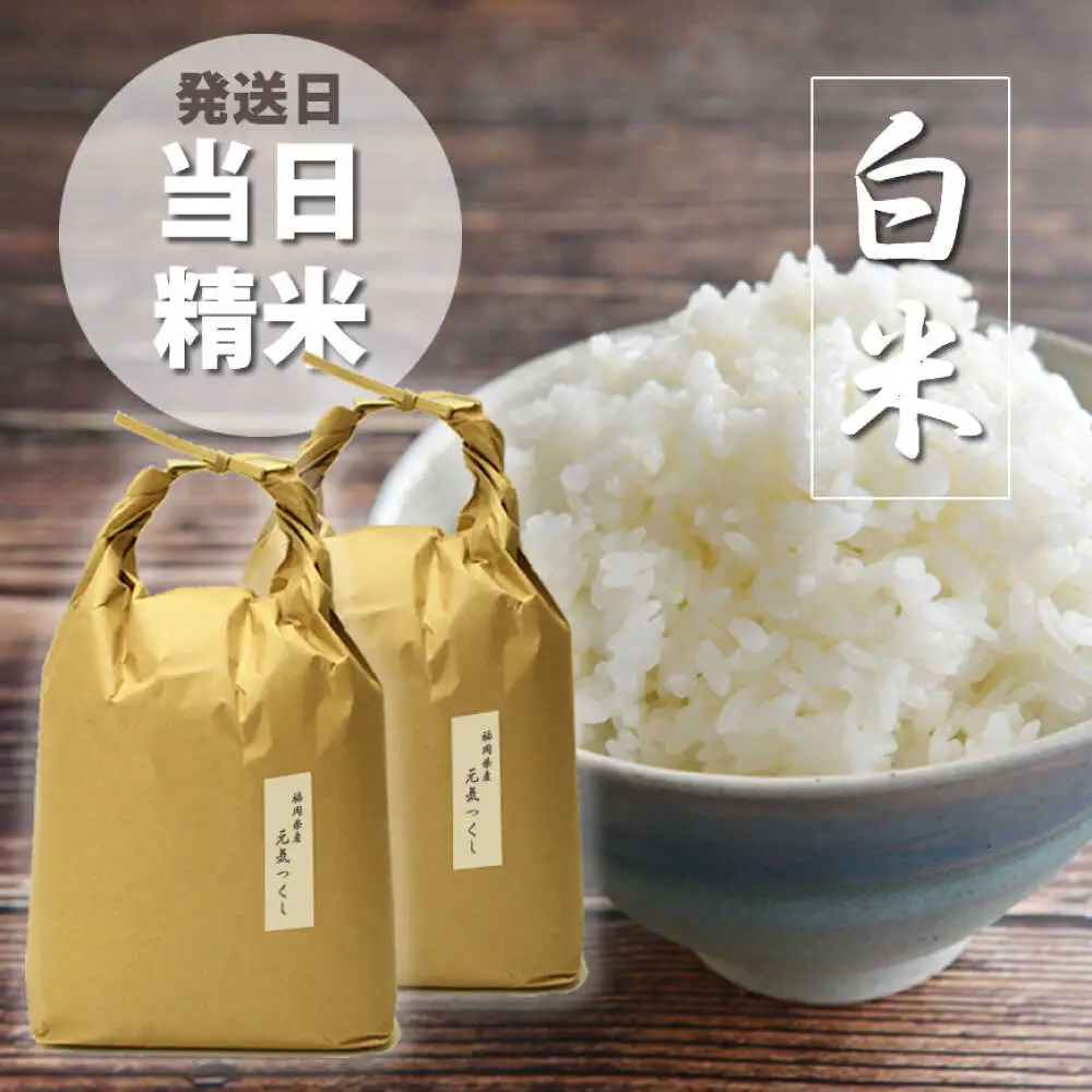 福岡県産 元気つくし 白米 10kg (5kg×2袋)[BGAF019]元気つくし