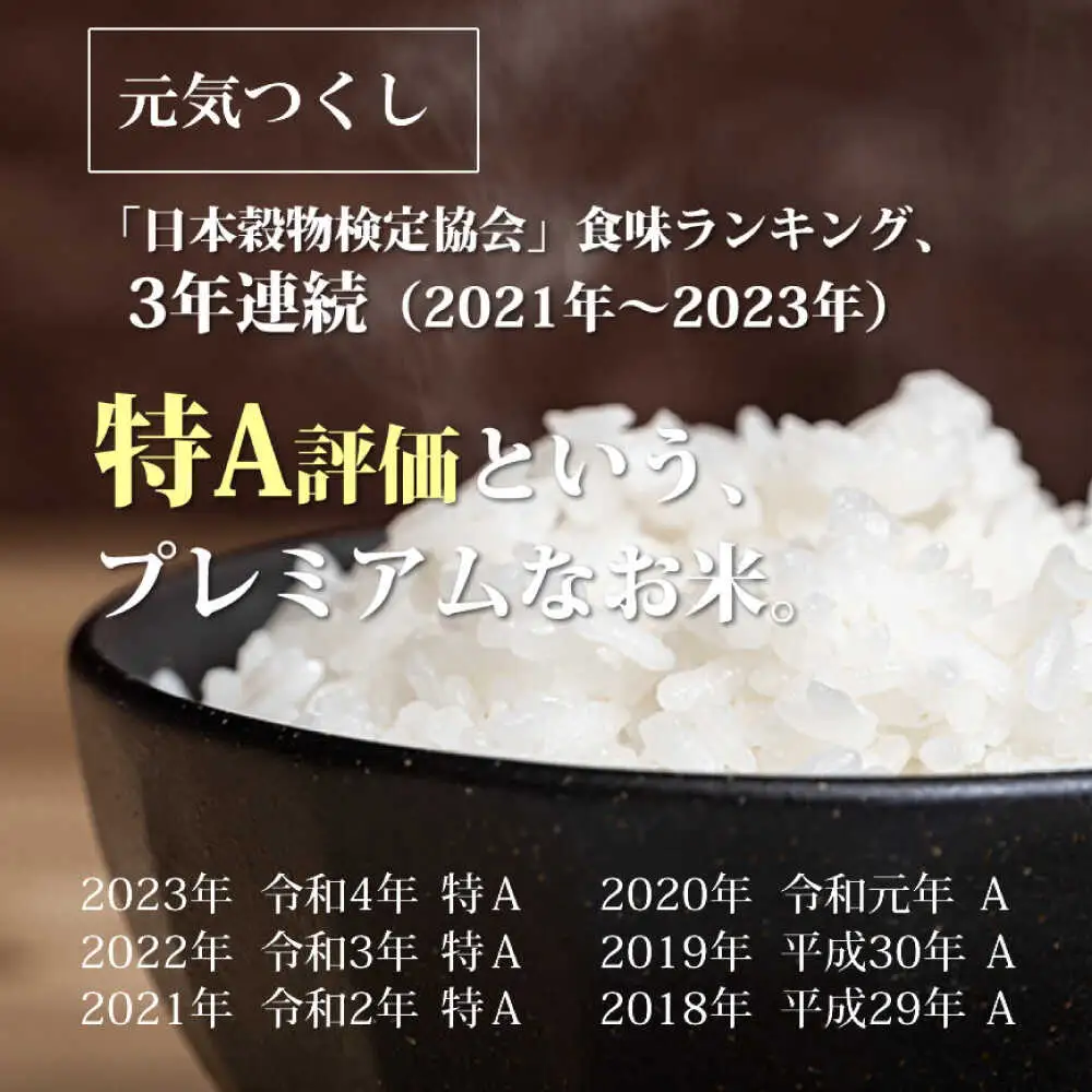 福岡県産 元気つくし・夢つくしの食べ比べセット 玄米 10kg (5kg×各1袋)[BGAF024]