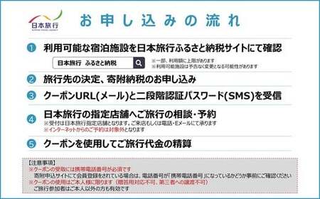 北海道函館市　日本旅行　地域限定旅行クーポン30,000円分（Eメール発行）_HD131-008