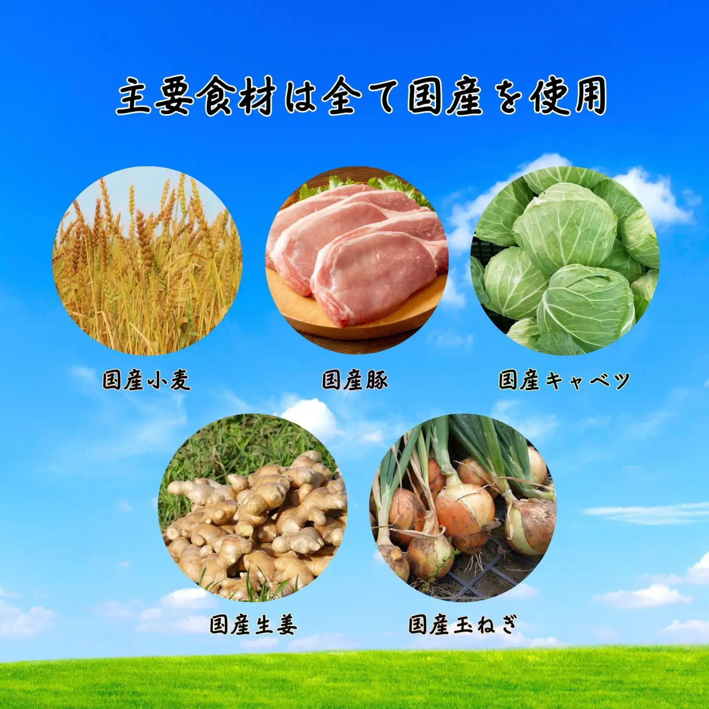 【ふるなびWEEK対象】餃子 手包み生姜餃子 25個入り 餃子屋はまだ