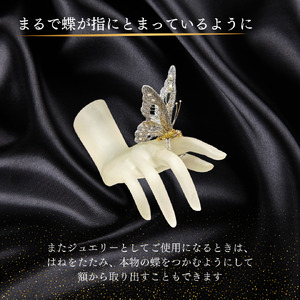 パール入りプラチナ蝶