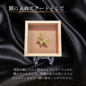 パール入り変形本金蝶 ブローチ 指輪 ジュエリー アート 蝶 金 本金 パール