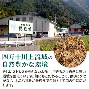 ＜ふるさと納税限定＞【解体済み】きじ丸鶏1羽（約900g） ◇ ｜ キジ肉 雉 きじ キジ ジビエ とり 鶏肉 パーティー ムネ モモ ササミ 秋 冬 熟成 加工品 愛媛県 鬼北町　※離島への配送不可