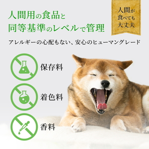 ドッグフード 無添加 鹿ジャーキー 40ｇ x 3袋 |  D103-3PACK