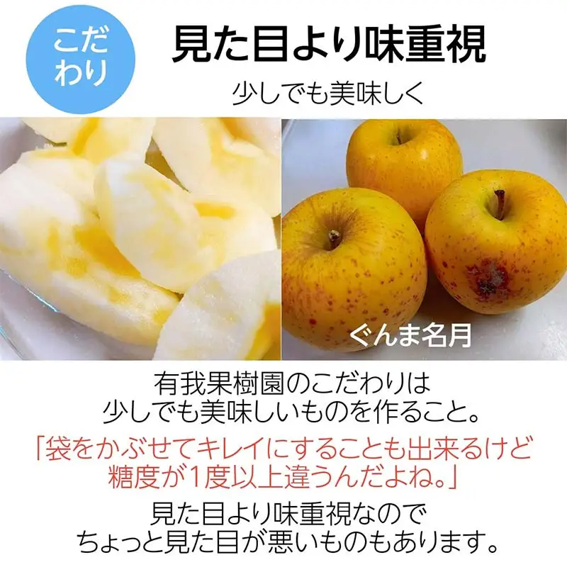 りんご 2色 リンゴ ぐんま名月 フジ 5kg 16～18個 御歳暮 ＜有我果樹園＞ りんご リンゴ 林檎 デザート フルーツ 果物 くだもの F7X-0285