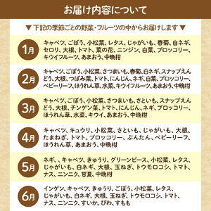 【毎月お届け】むなかた旬のお任せセット 野菜 フルーツ 卵 9～11品 _HB0194 | 定期便 詰め合わせ