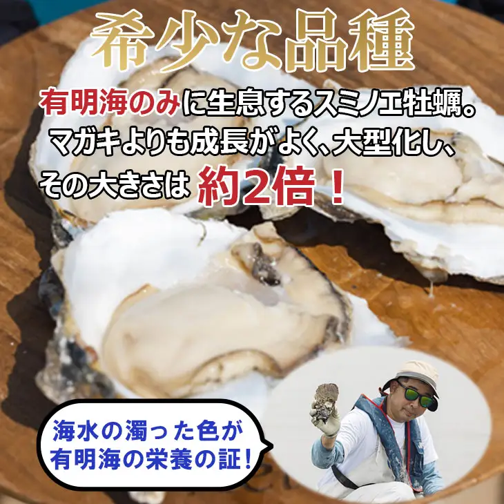 【天然】有明海産住之江牡蠣　冷凍スミ☆スター 2kg 牡蠣 冷凍 殻付き B110-030