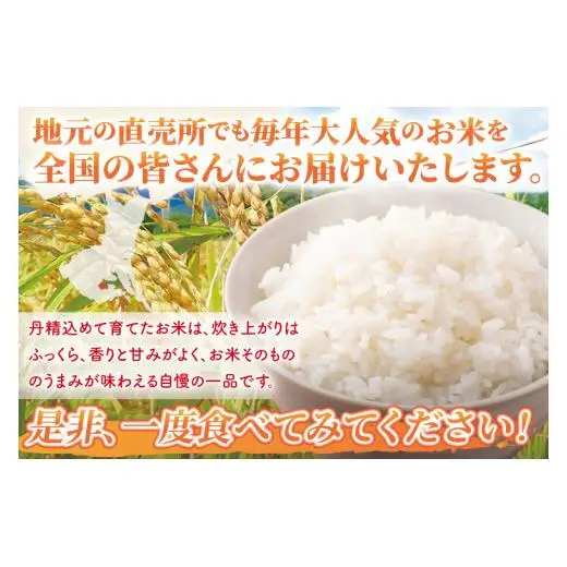 先行予約 令和8年産 特別栽培農産物認証 コシヒカリ 精米 ５kg 特栽米 ネオニコフリー 減農薬 減化学肥料 安心 安全 こしひかり 白米 弁当 おにぎり オニギリ 有機肥料 特別栽培米 エコ農産物 茨城県産米【2026年9月より順次発送】(86-01)