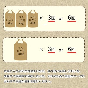 【8回定期便】きぬひかり 5kg 定期便 精米 白米