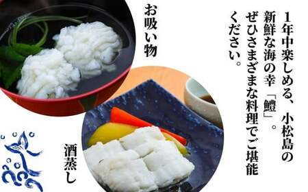 ハモ 切り身 1.2kg 数量限定 小松島産 鱧 ハモ