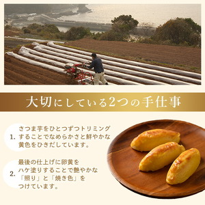 ＜定期便・2ヶ月毎発送全3回＞鹿児島県産さつまいも使用 ロイヤルのスイートポテト(9個)  スイートポテト 鹿児島 さつまいも菓子 スイーツ お菓子 おやつ 【ロイヤル】royal-1517