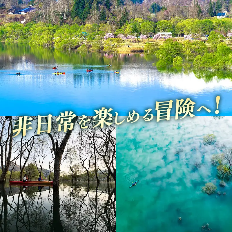 絶景 水没林カヌーツアー（2名様）癒しの自然満喫アクティビティ【フォトジェニックスポット】- 体験型 カヌー体験 レジャー カヌー 自然 白川湖 水没林 体験チケット アクティビティ 観光 アウトドア 山形県 飯豊町【価格改定】