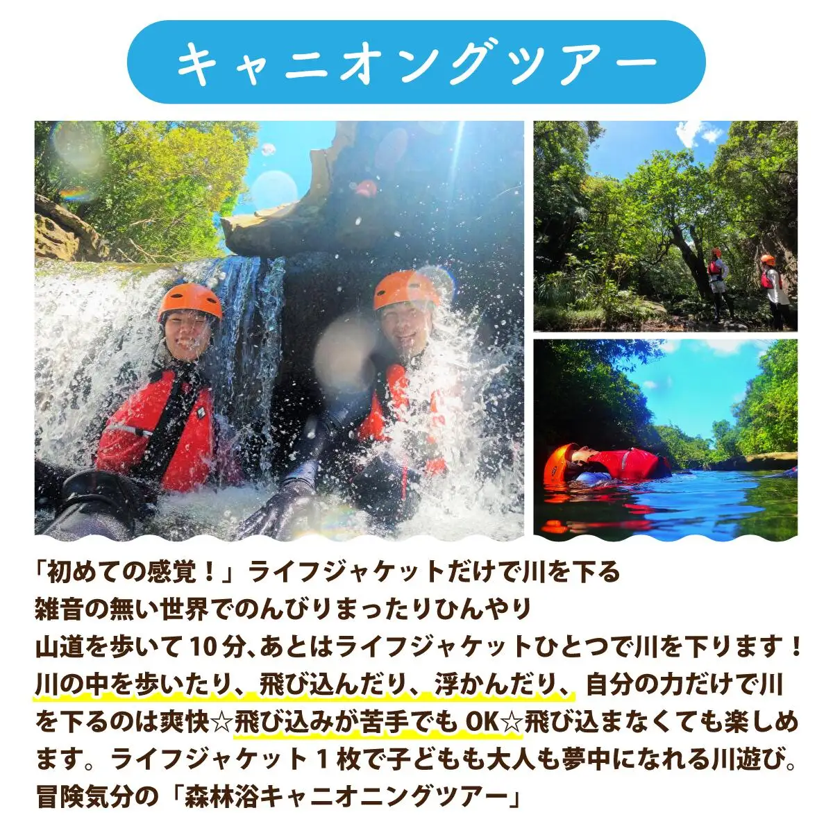 西表島 半日森林浴滝トレッキングツアー 小人1名分