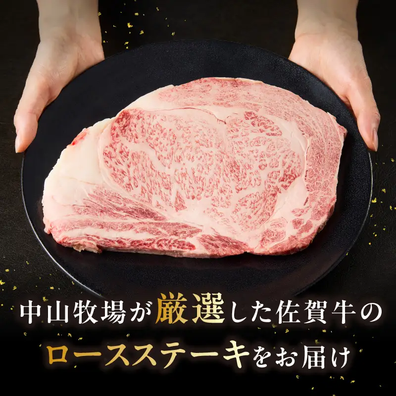 【最速配送】佐賀牛ロースステーキ 500g+ハンバーグ2個 ／ ステーキ【C113】