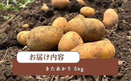 じゃがいも きたあかり 5kg | じゃがいも じゃがいも じゃがいも じゃがいも じゃがいも