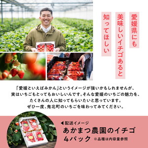 【2027年春収穫分】紅い雫 4パック（約720g） | いちご イチゴ 苺 大福 ジャム タルト アイス ケーキ ギフト あかまつ農園 ※2027年2月～発送
