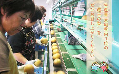 【先行予約】最高級 蔵王の梨 新高 約5kg 特秀･大玉　【04301-0718】梨 なし 果物 くだもの スイーツ フルーツ デザート 甘い ジューシー 蔵王